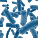 Batteri resistenti agli antibiotici più potenti del mondo
