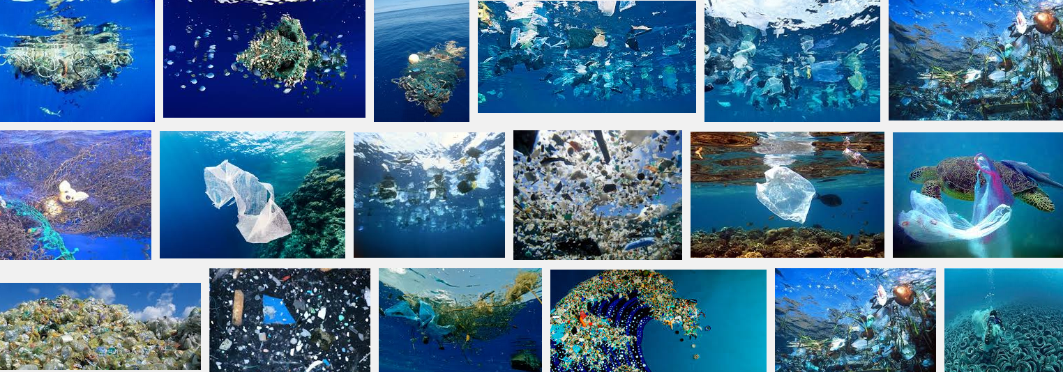 Plastica addio con gli involucri biodegradabili