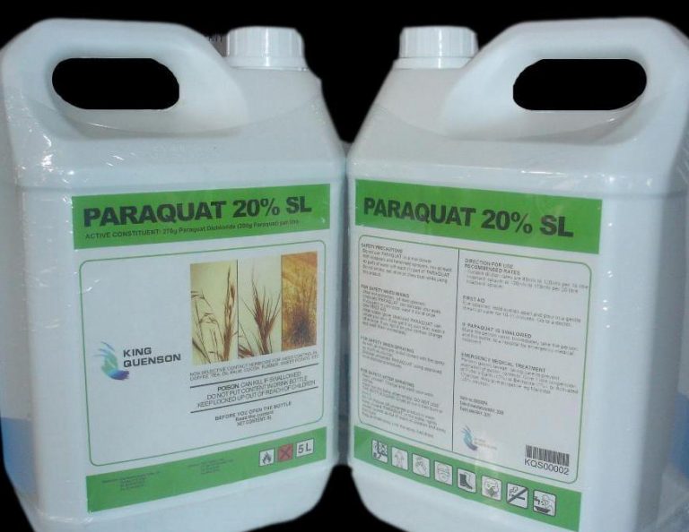 Grano antico sfama il mondo mentre la chimica lo avvelena