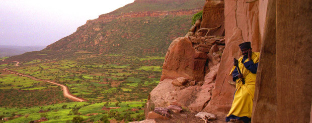 Grano antico sfama il mondo mentre la chimica lo avvelena