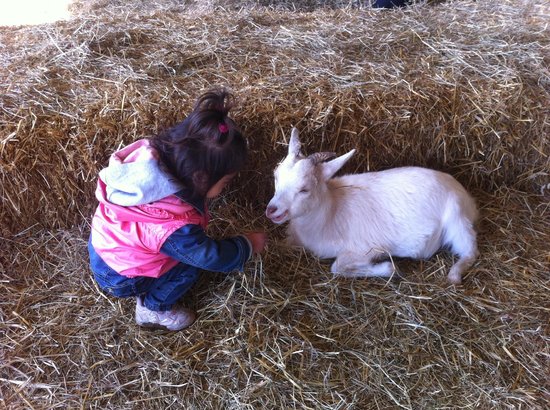 scuola-di-natura-per-i-consumatori-di-domani