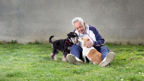 Pet therapy cani e gatti che partecipano alle cure