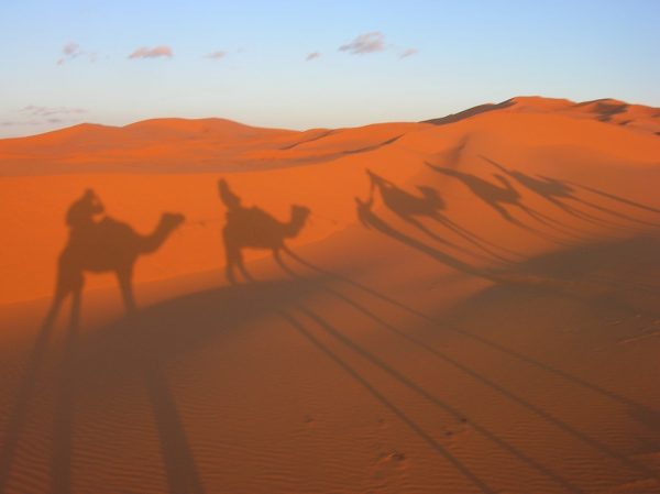  Caccia ai terroristi islamici fra le dune del Sahara