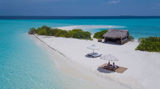 Lavorare in paradiso alle Maldive cercasi libraio Robinson Crusoe
