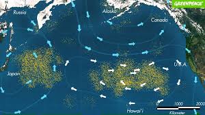 Plastica addio il sogno di Boyan che il mondo spera diventi realtà