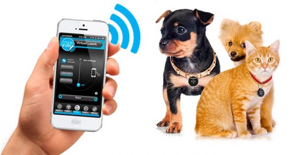 App per bau & miao dai cani smarriti all’assistenza 