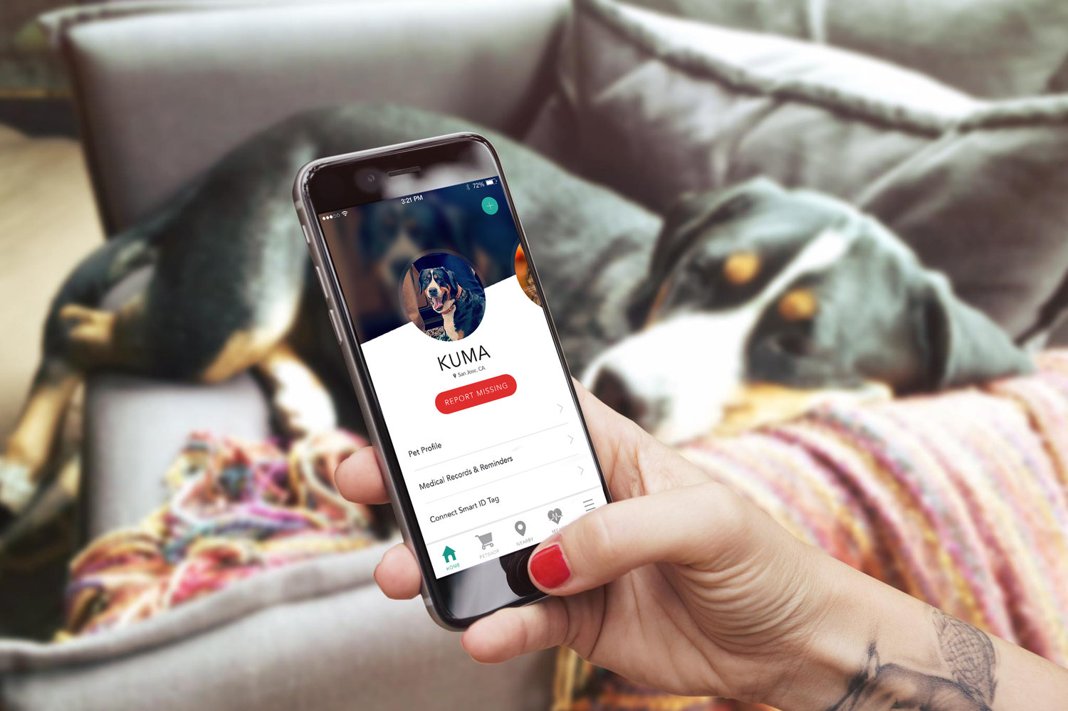 App per bau & miao dai cani smarriti all’assistenza