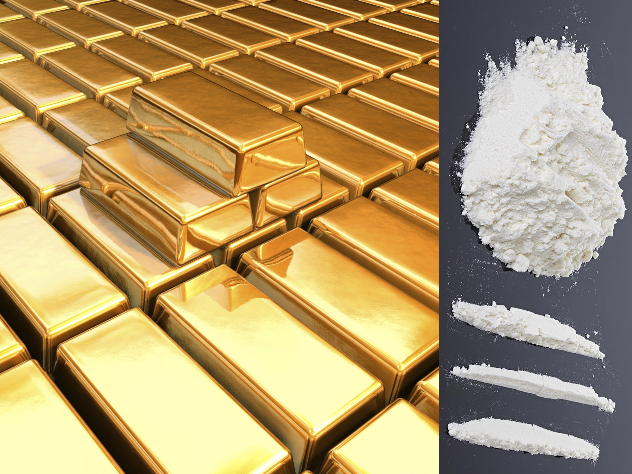 Cocaina a tonnellate lingotti d'oro e milioni in contanti