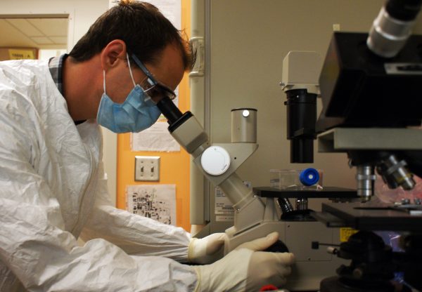 Cancro a che punto sono ricerca e terapie 