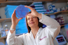 Cancro a che punto sono ricerca e terapie 