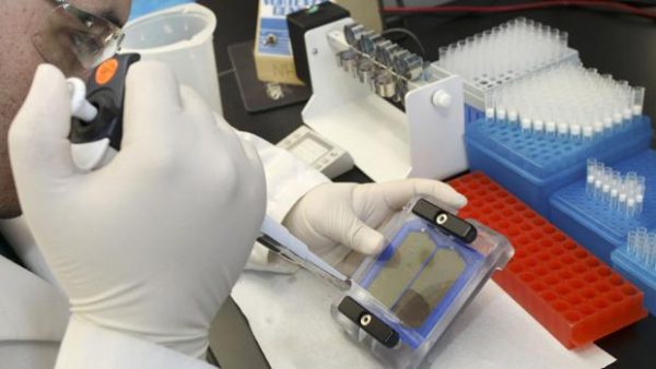 Cancro a che punto sono ricerca e terapie 