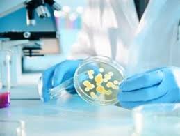 Batteri mortali le infezioni che minacciano il mondo