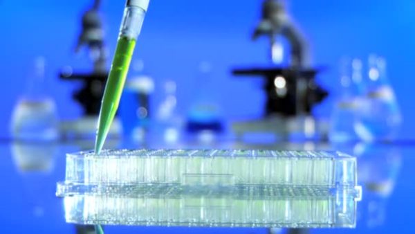 Batteri mortali le infezioni che minacciano il mondo