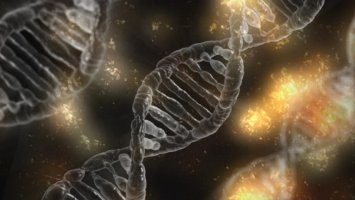 Cure antitumori dal genoma all’immunoterapia 