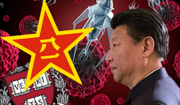 Ombre cinesi su Putin Pechino di lotta e di commercio