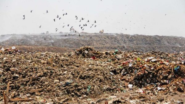 Il pianeta della grande monnezza: rifiuti che fare?