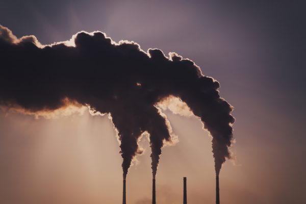 Covid e Suez rilanciano la neutralità carbonica
