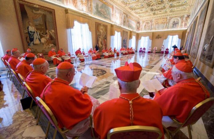 Sedici Cardinali per la continuità di Papa Francesco