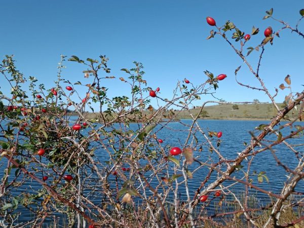 Le foto più belle della settimana sui social