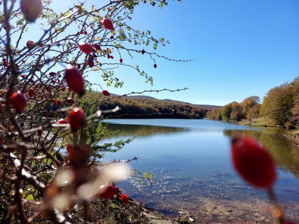 Le foto più belle della settimana sui social
