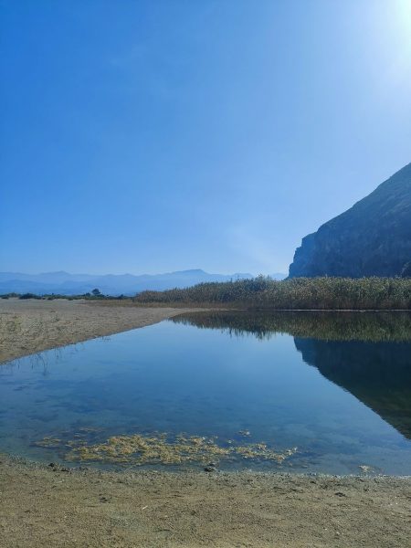 Le foto più belle della settimana sui social