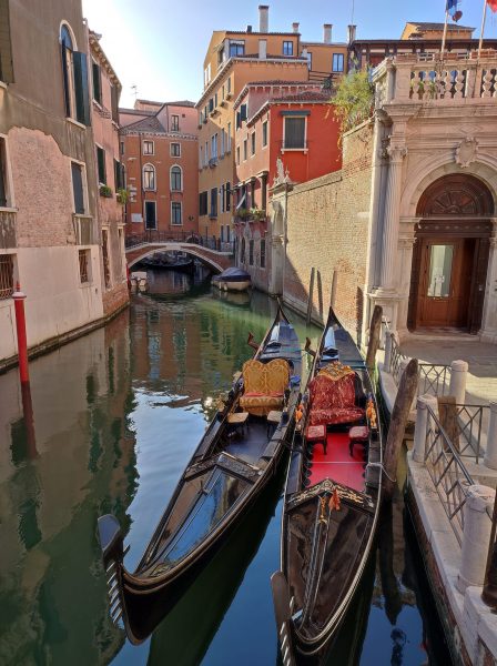 Le foto più belle postate sui social / 8