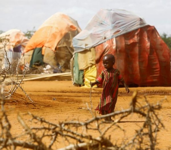 La deriva taciuta dell’Africa fra guerre epidemie fame