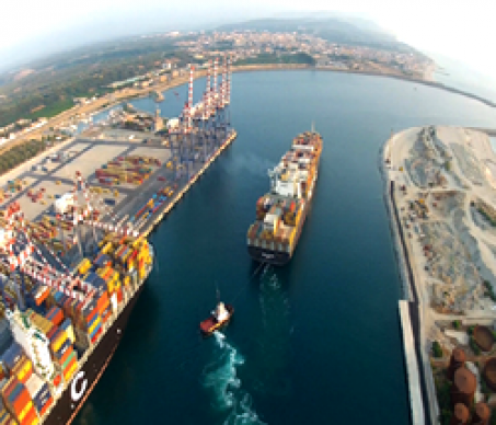 Zes: anatomia di un suicidio burocratico ed economico 