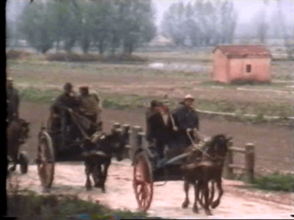Lo ius primae noctis nella Sicilia degli anni '50