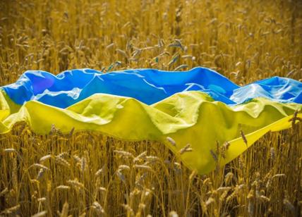 Ucraina: il generale agosto e la svolta della guerra