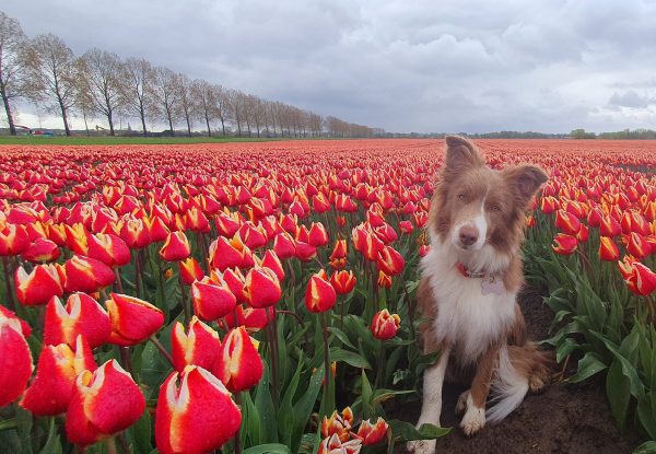 Le foto più belle postate sui social / 56