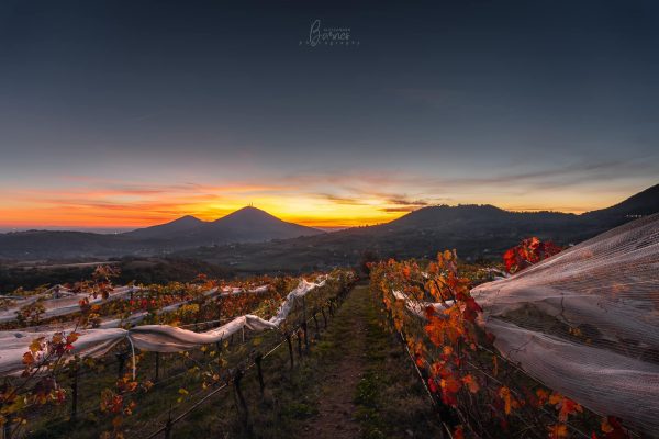 Le foto più belle postate sui social / 56