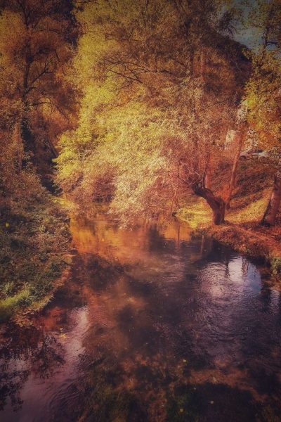 Le foto più belle postate sui social / 56