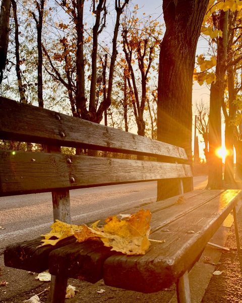 Le foto più belle postate sui social / 56