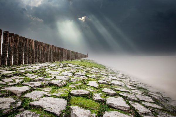 Le foto più belle postate sui social / 56