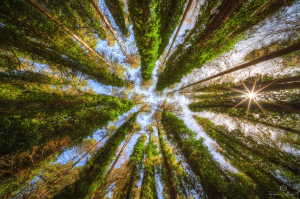 Le foto più belle postate sui social / 57