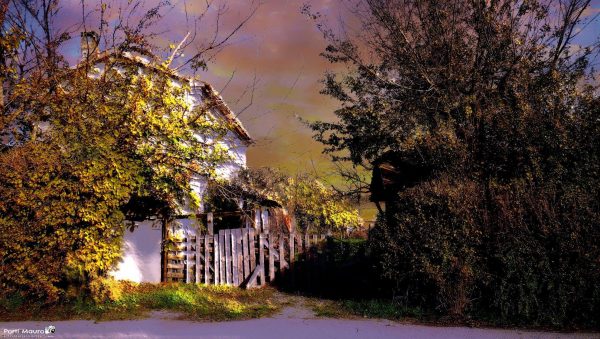 Le foto più belle postate sui social / 57