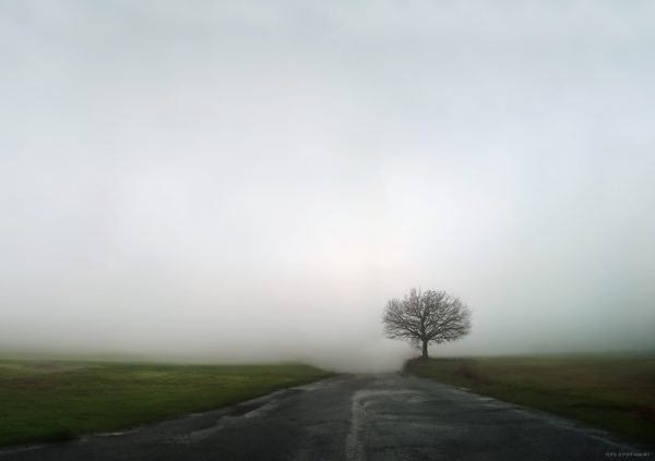 Le foto più belle postate sui social / 57