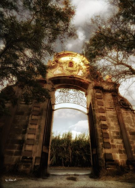 Le foto più belle postate sui social / 60