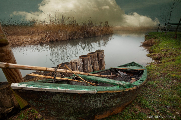 Le foto più belle postate sui social / 60