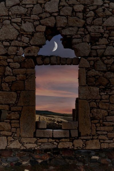 Le foto più belle postate sui social / 60