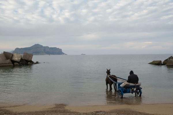 Le foto più belle postate sui social / 60