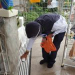 Ecco come fronteggiare l’allarme dengue