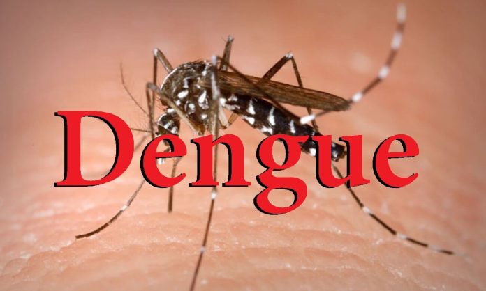 Ecco come fronteggiare l’allarme dengue