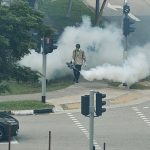 Ecco come fronteggiare l’allarme dengue