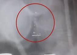 Il naufragio del veliero e la deriva del giornalismo