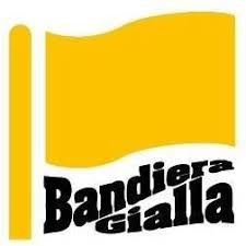  bassista e esperto di musica pop e rock italiana e internazionale, è stato per molti anni responsabile Musica dapprima presso la Ricordi e poi presso la Feltrinelli.