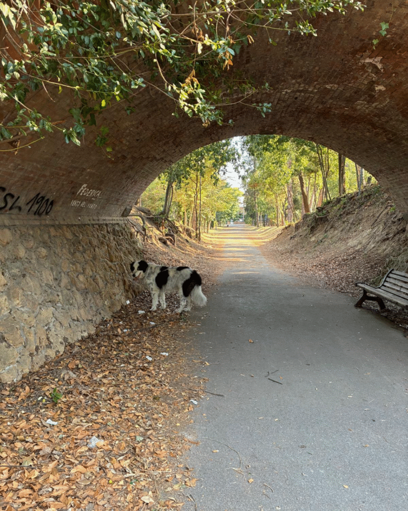 Le estati perdute di una Roma irriconoscibile