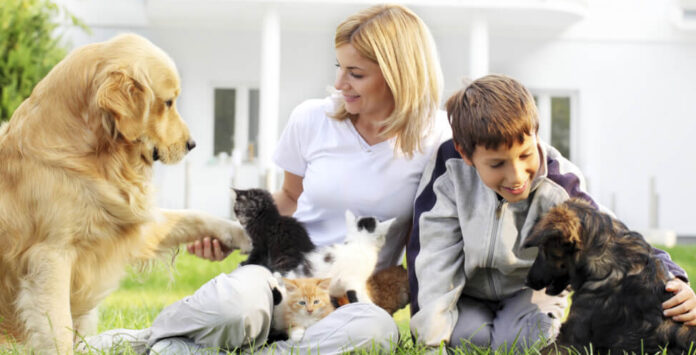 Il grande tema della bioetica che abbraccia agli animali domestici