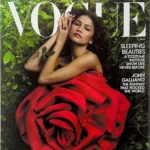 Ascesa e crisi editoriale: l’epopea delle riviste patinate americane